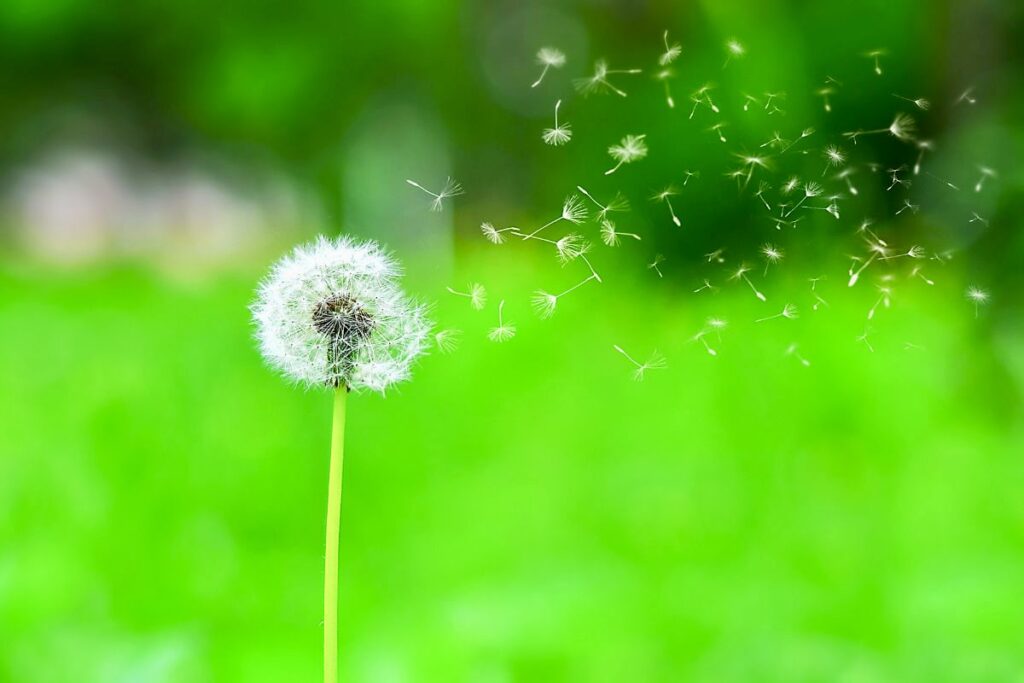 Kuuの7つの速さ